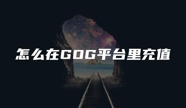 怎么在GOG平台里充值