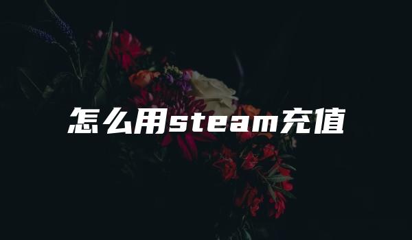 怎么用steam充值