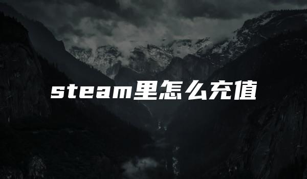 steam里怎么充值