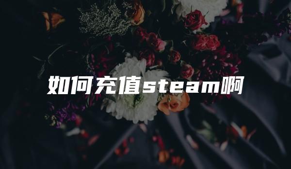 如何充值steam啊