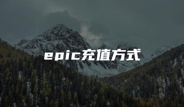 epic充值方式