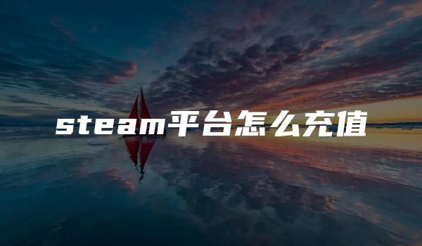 steam平台怎么充值