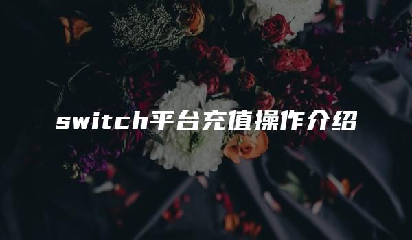 switch平台充值操作介绍