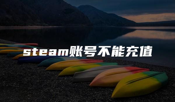 steam账号不能充值