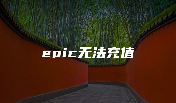 epic无法充值