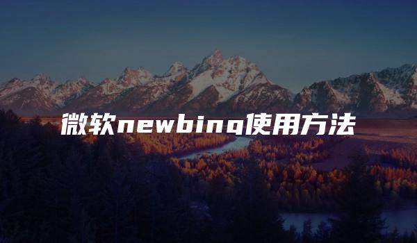 微软newbing使用方法