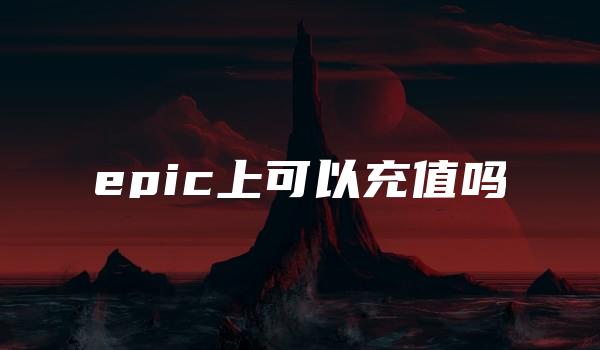 epic上可以充值吗