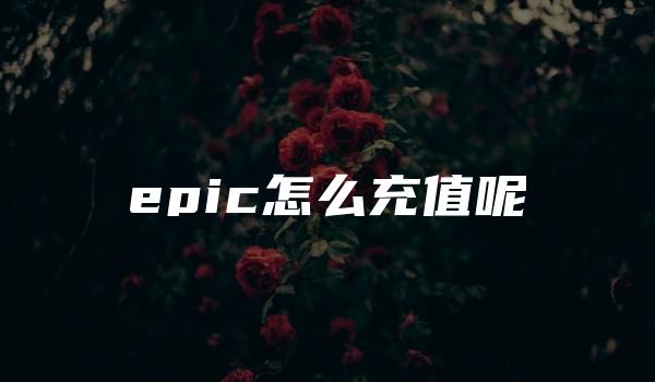 epic怎么充值呢