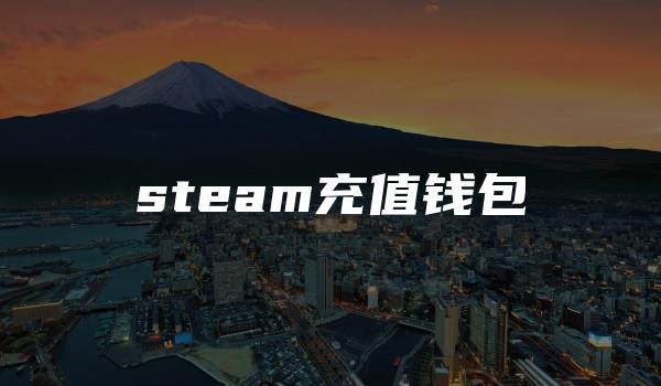 steam充值钱包