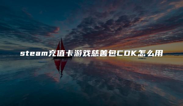 steam充值卡游戏慈善包CDK怎么用