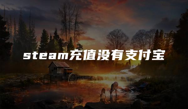 steam充值没有支付宝