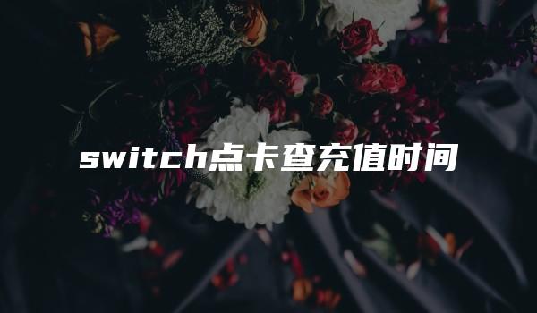 switch点卡查充值时间