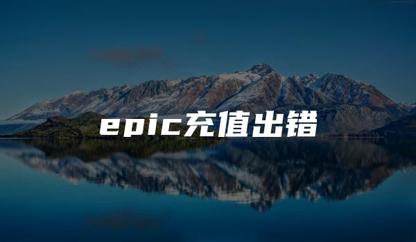 epic充值出错