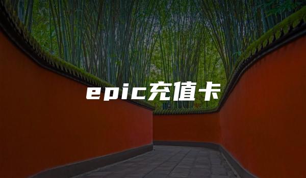 epic充值卡