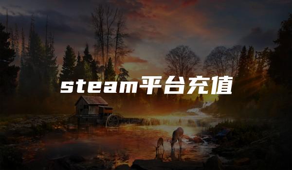 steam平台充值