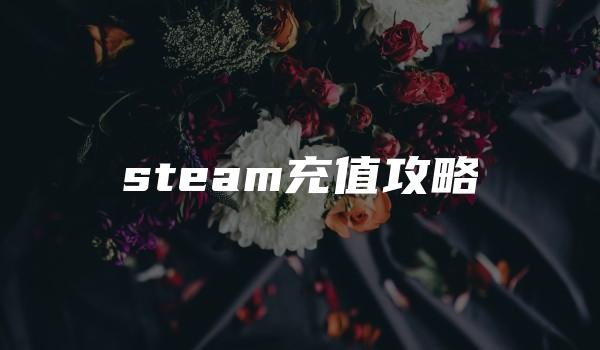 steam充值攻略