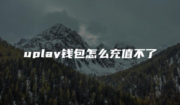 uplay钱包怎么充值不了