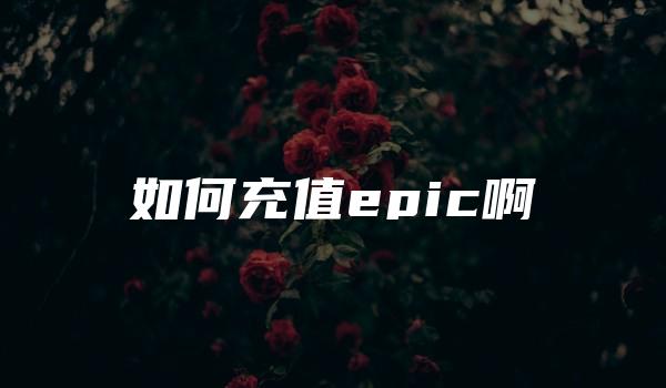 如何充值epic啊