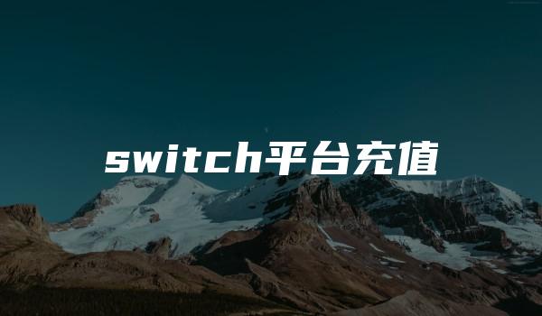 switch平台充值