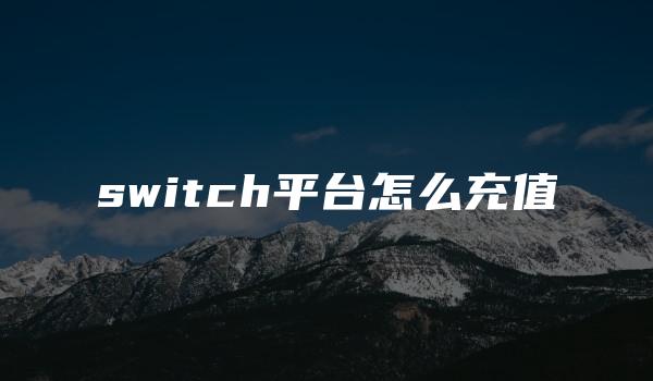 switch平台怎么充值