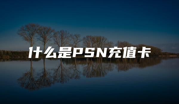 什么是PSN充值卡