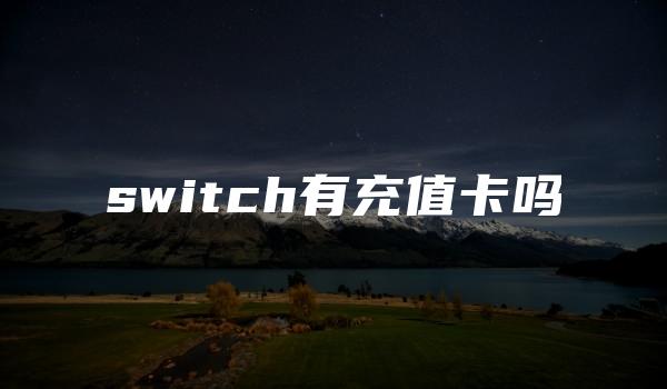 switch有充值卡吗