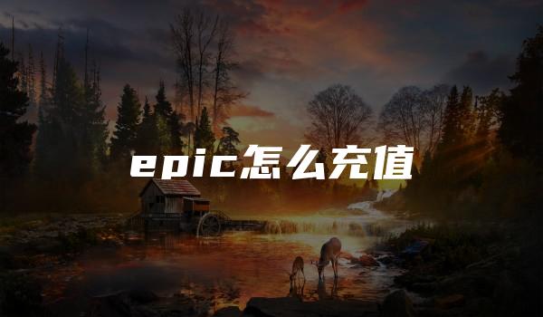 epic怎么充值