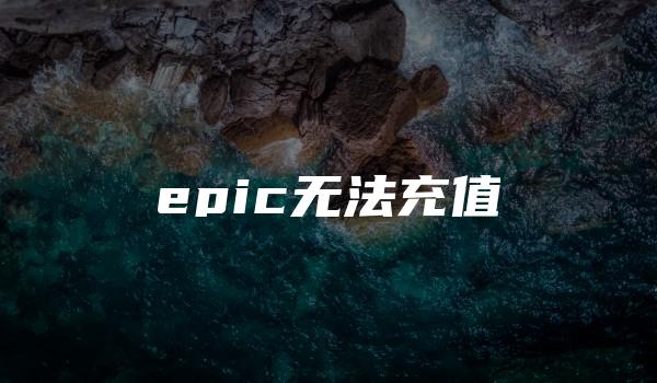 epic无法充值