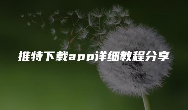 推特下载app详细教程分享