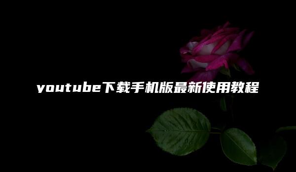 youtube下载手机版最新使用教程