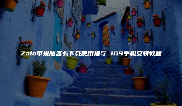 Zalo苹果版怎么下载使用指导 IOS手机安装教程