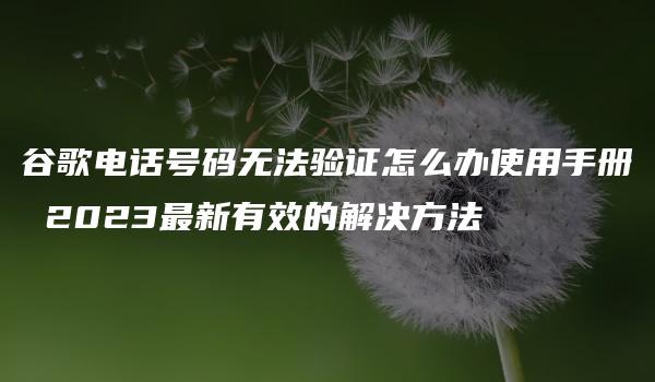 谷歌电话号码无法验证怎么办使用手册 2023最新有效的解决方法