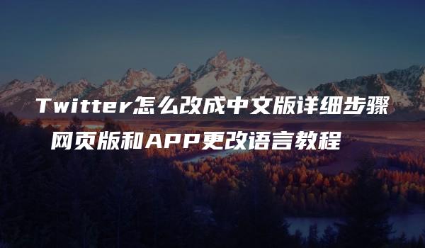 Twitter怎么改成中文版详细步骤 网页版和APP更改语言教程