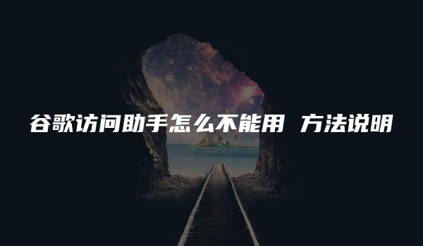 谷歌访问助手怎么不能用 方法说明