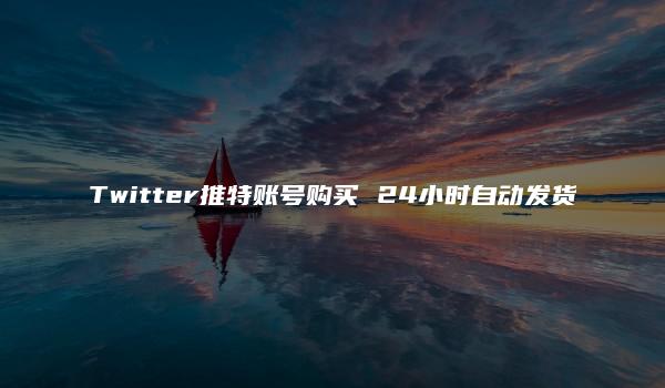 Twitter推特账号购买 24小时自动发货