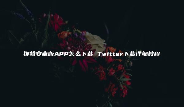 推特安卓版APP怎么下载 Twitter下载详细教程