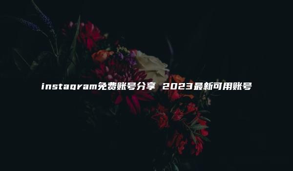 instagram免费账号分享 2023最新可用账号