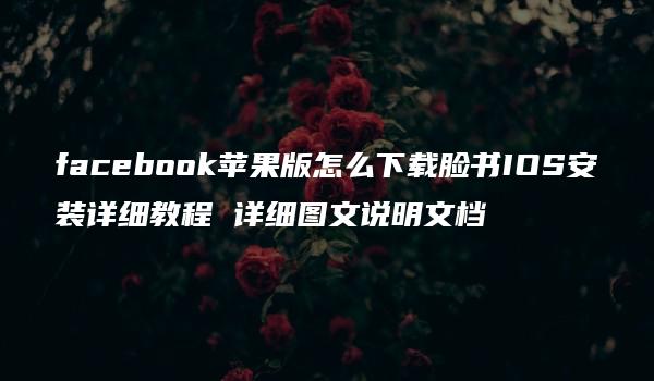 facebook苹果版怎么下载脸书IOS安装详细教程 详细图文说明文档