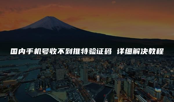 国内手机号收不到推特验证码 详细解决教程