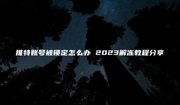 推特账号被锁定怎么办 2023解冻教程分享