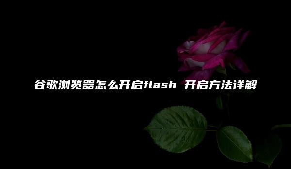 谷歌浏览器怎么开启flash 开启方法详解