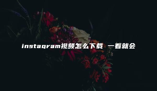 instagram视频怎么下载 一看就会