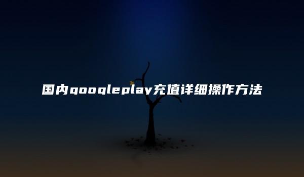 国内googleplay充值详细操作方法