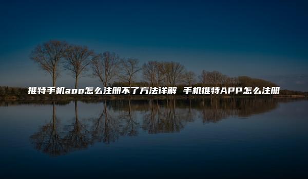 推特手机app怎么注册不了方法详解 手机推特APP怎么注册