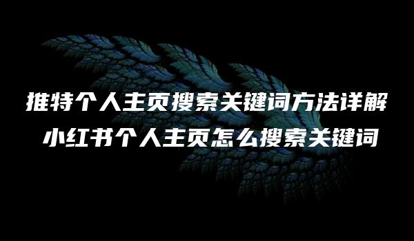 推特个人主页搜索关键词方法详解 小红书个人主页怎么搜索关键词