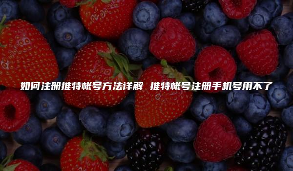 如何注册推特帐号方法详解 推特帐号注册手机号用不了