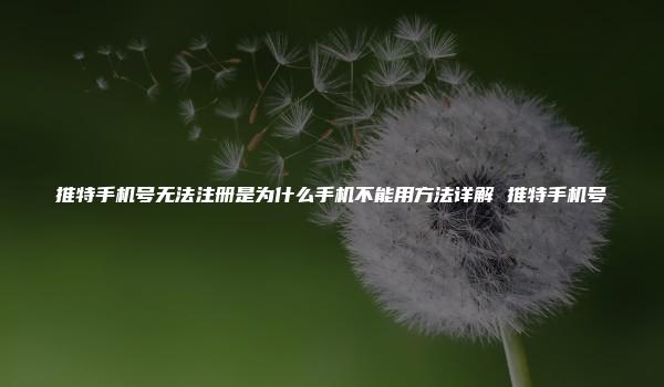 推特手机号无法注册是为什么手机不能用方法详解 推特手机号