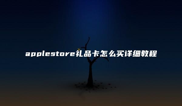 applestore礼品卡怎么买详细教程