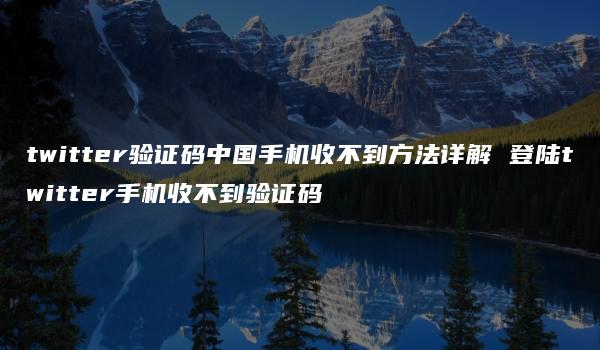 twitter验证码中国手机收不到方法详解 登陆twitter手机收不到验证码