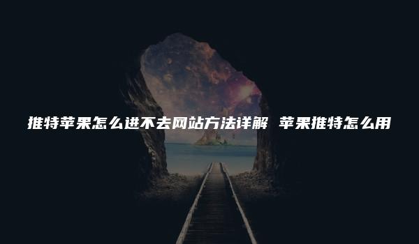 推特苹果怎么进不去网站方法详解 苹果推特怎么用